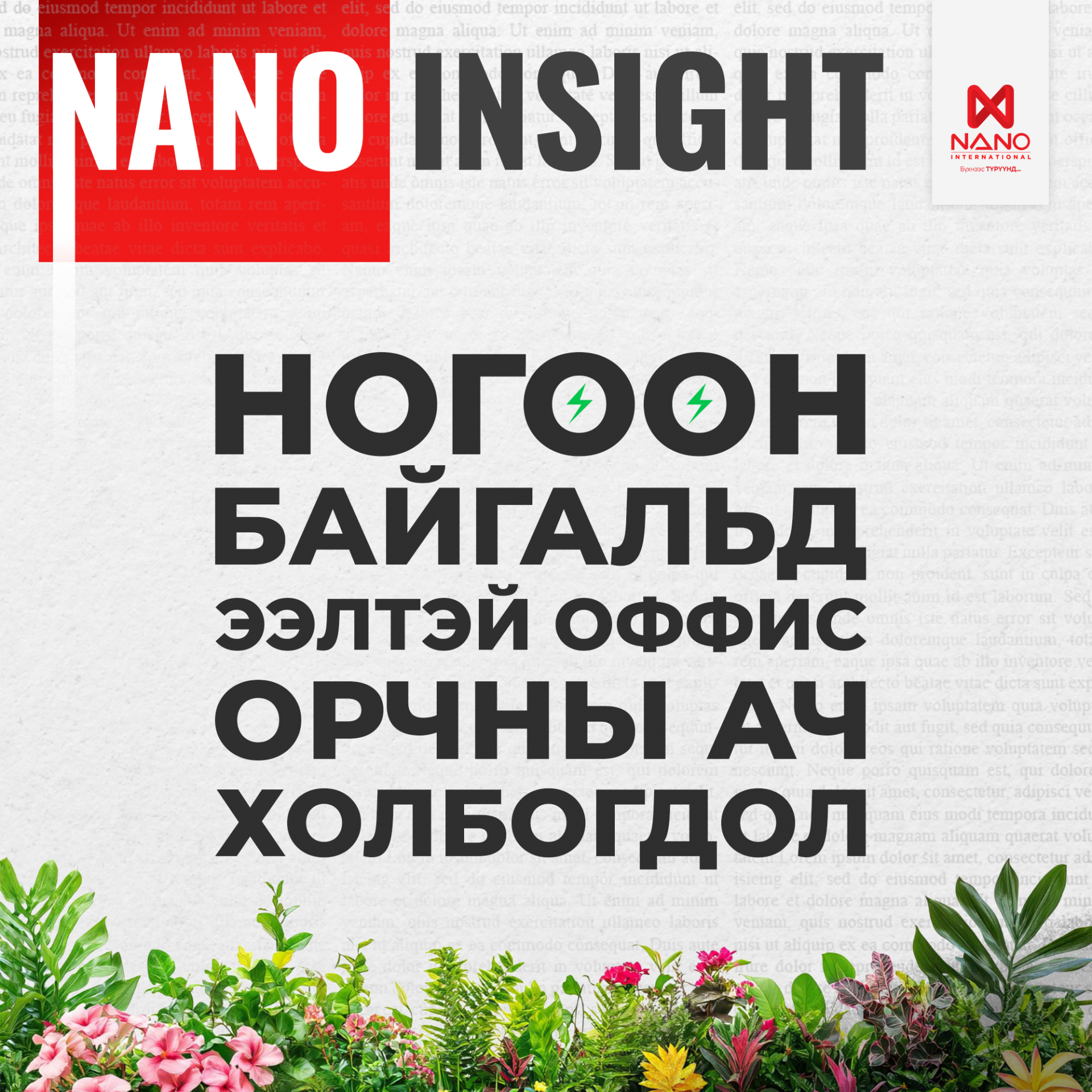 Nano International