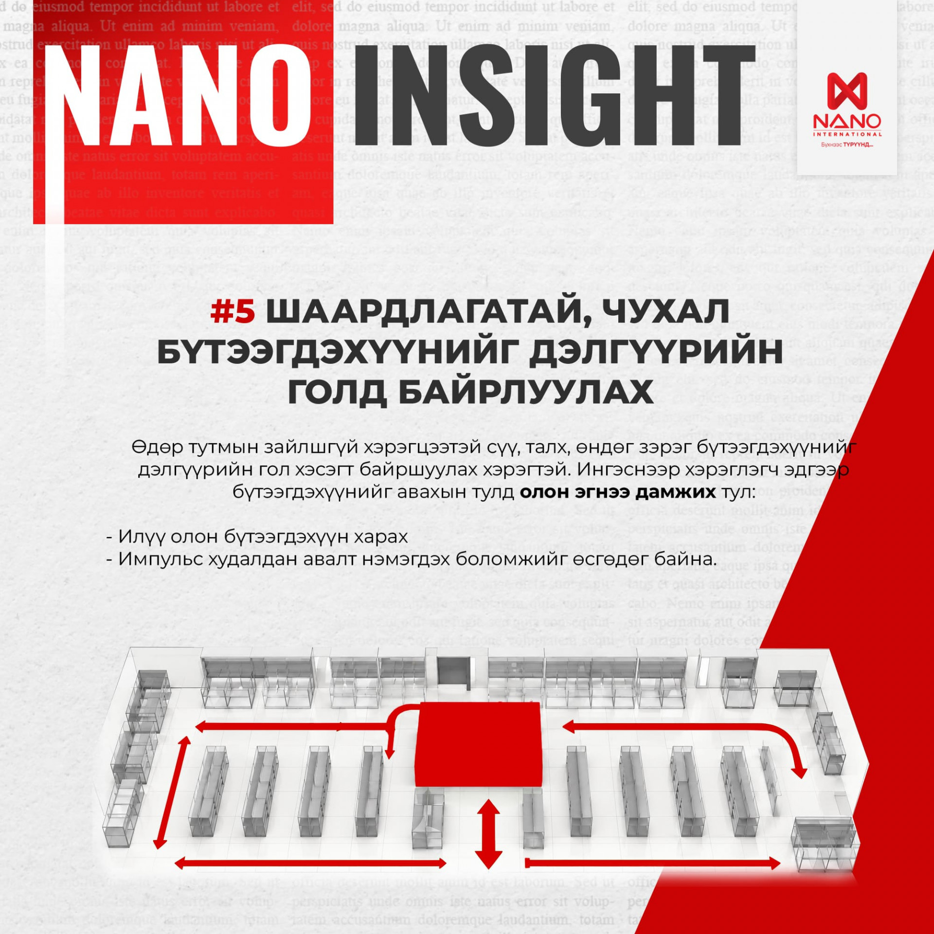 Nano International