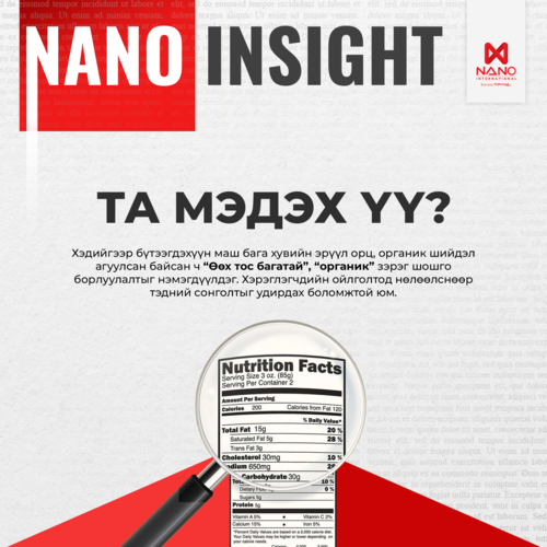 Nano International