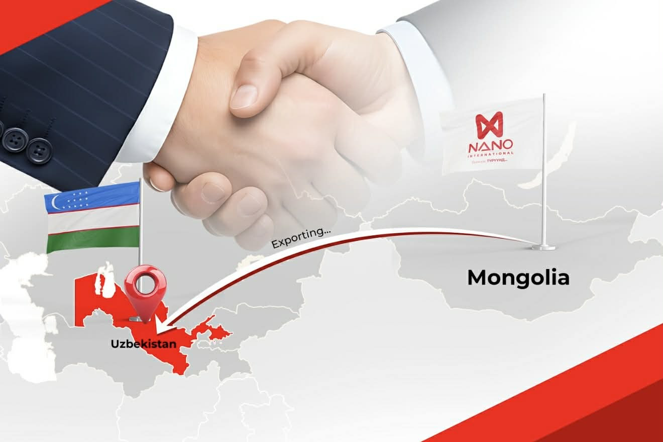 Nano International
