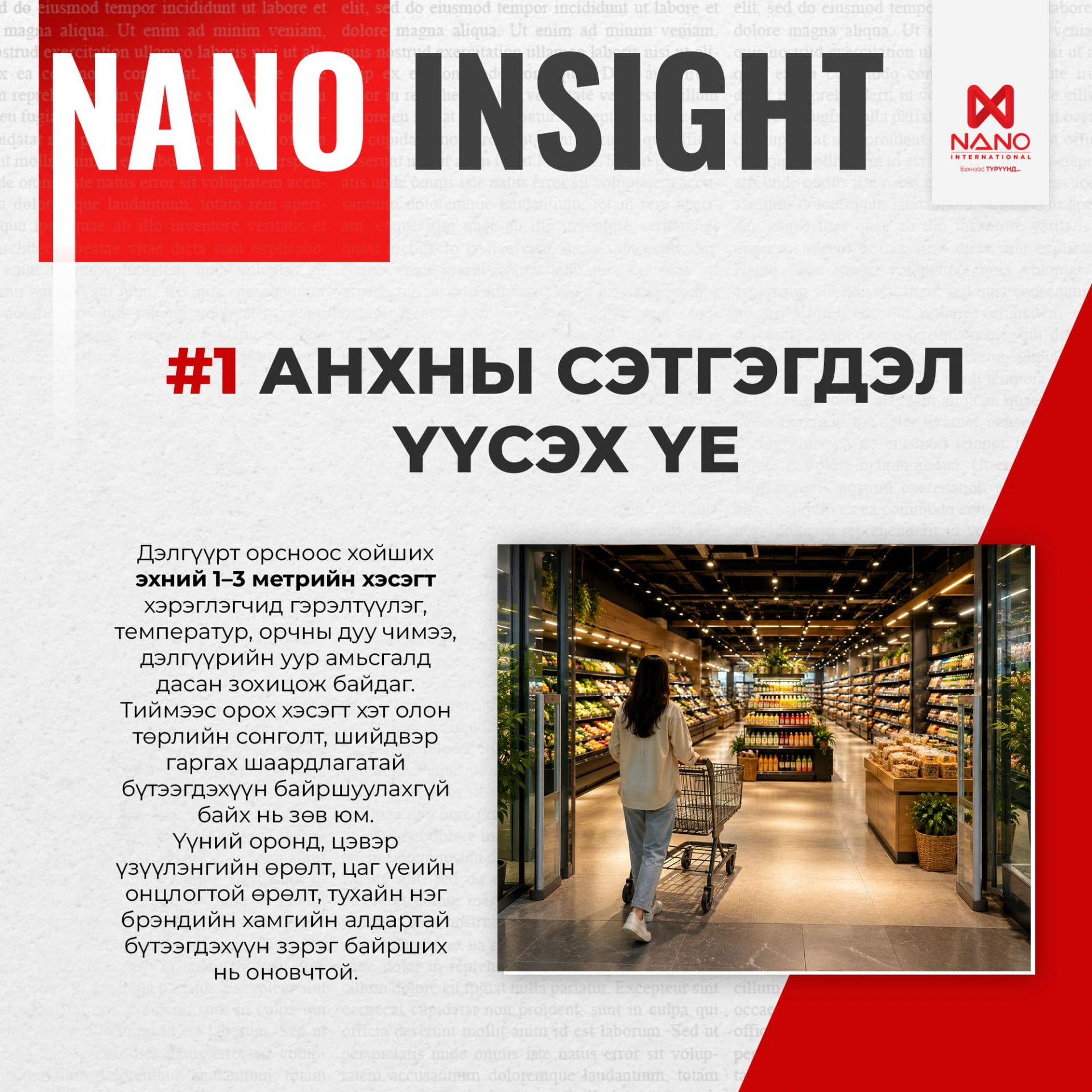 Nano International