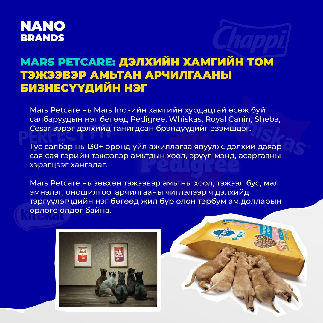 Nano International