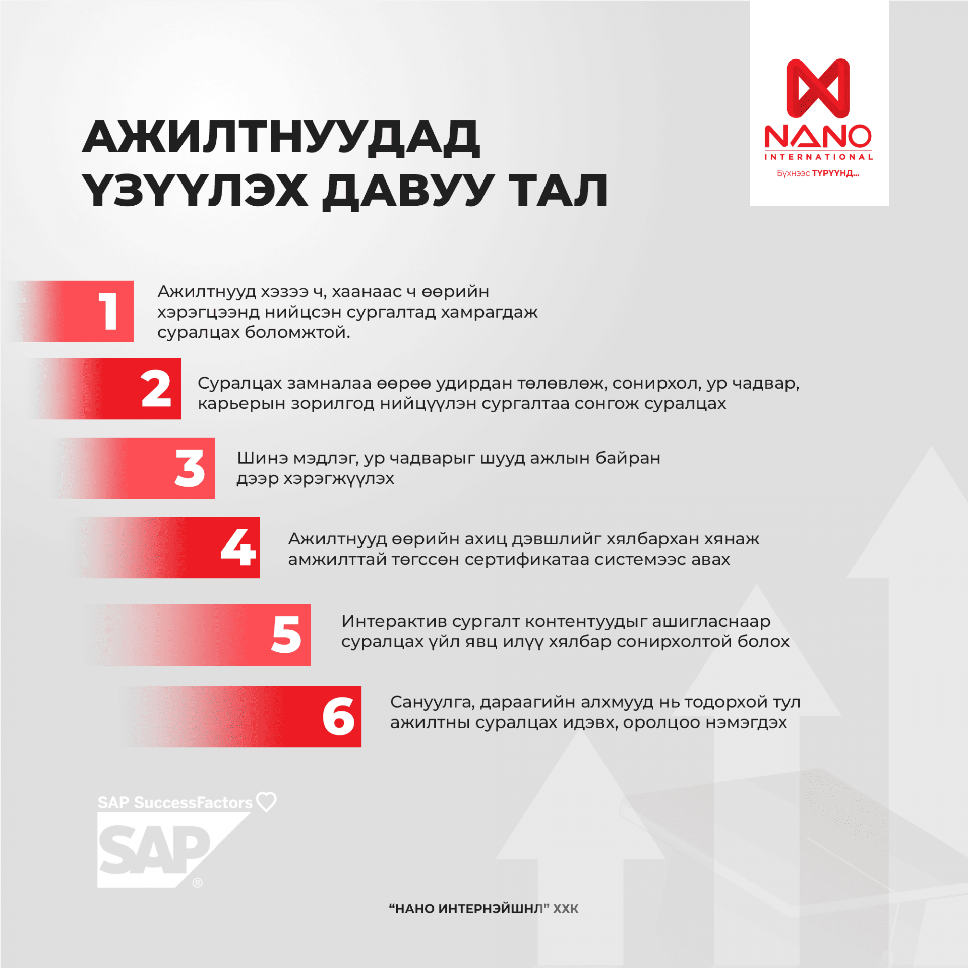 Nano International
